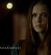 TVD0034.jpg