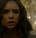 TVD0241.jpg