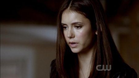 TVD0231.jpg
