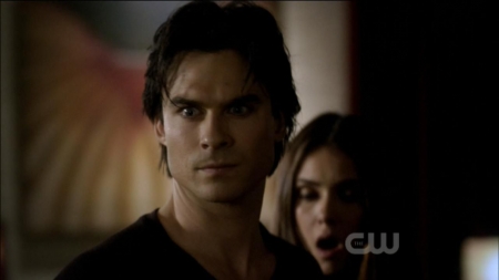 TVD0355.jpg