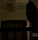 TVD0022.jpg