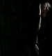 TVD0057.jpg