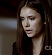TVD0231.jpg
