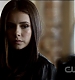 TVD0241.jpg