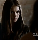 TVD0246.jpg