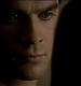 TVD0313.jpg
