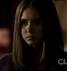 TVD0338.jpg