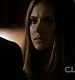 TVD0353.jpg