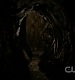 TVD0387.jpg