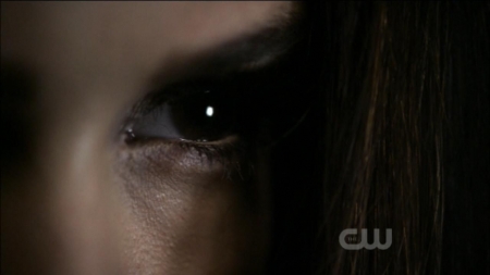 TVD0312.jpg
