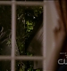 TVD0324.jpg