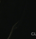 TVD0256.jpg
