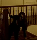 TVDS2_26.jpg