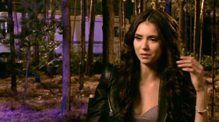 TVDS2_230.JPG