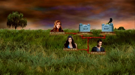 TVDS2_183.JPG