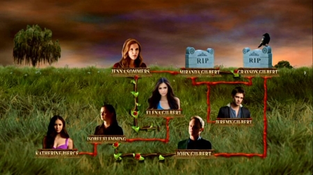 TVDS2_228.JPG