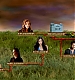 TVDS2_209.JPG