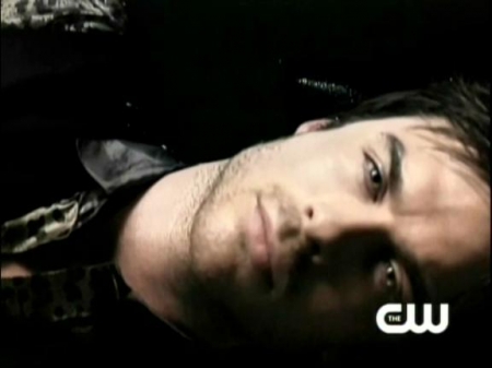 TVD_030.JPG