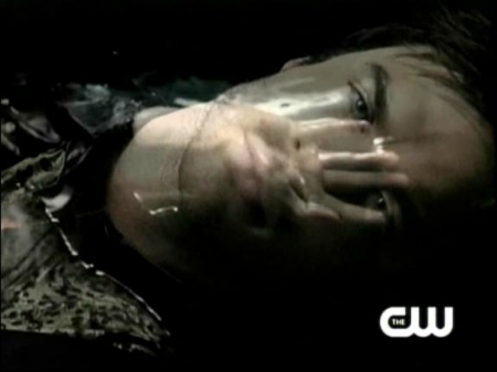 TVD_032.JPG