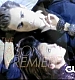 TVD_024.JPG