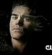 TVD_035.JPG