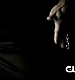 TVD_038.JPG