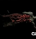 TVD_042.JPG