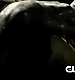 TVD_046.JPG