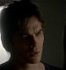 TVD_040.JPG