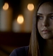 TVD_103.JPG