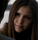 TVD_161.JPG