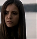 TVD_164.JPG
