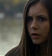 TVD_184.JPG