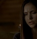 TVD_195.JPG