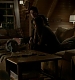 TVD_200.JPG