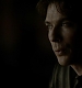TVD_275.JPG