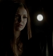 TVD_287.JPG