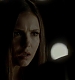 TVD_298.JPG