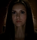 TVD_258.JPG