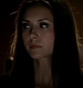 TVD_259.JPG