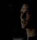 TVD_221.JPG