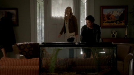 TVD_392.JPG