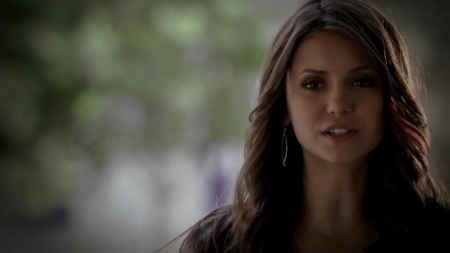 TVD_478.JPG