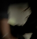 TVD_439.JPG