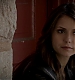 TVD_450.JPG