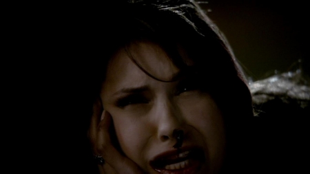 TVD_308.JPG