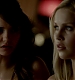 TVD_238.JPG