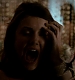 TVD_267.JPG