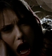 TVD_304.JPG