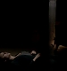 TVD_000.JPG